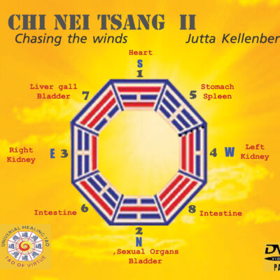CNT II Chasing the Winds