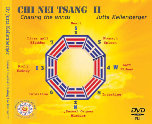 CNT II Chasing the Winds