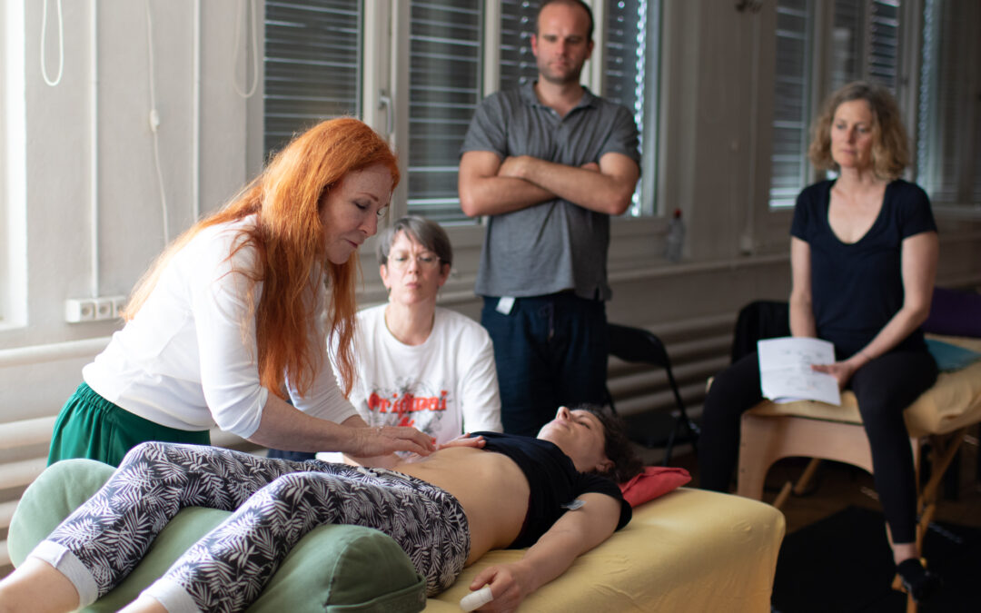 Chi Nei Tsang I Organ Detox Massage – Hungary/Budapest / November 6-9